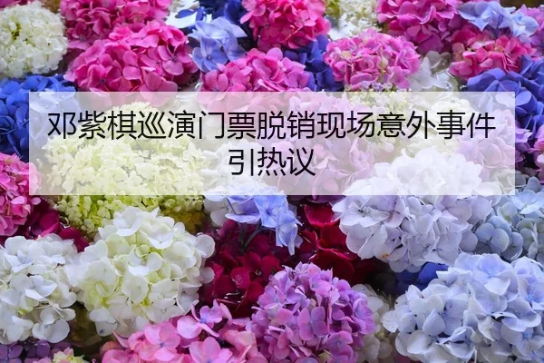 邓紫棋巡演门票脱销现场意外事件引热议